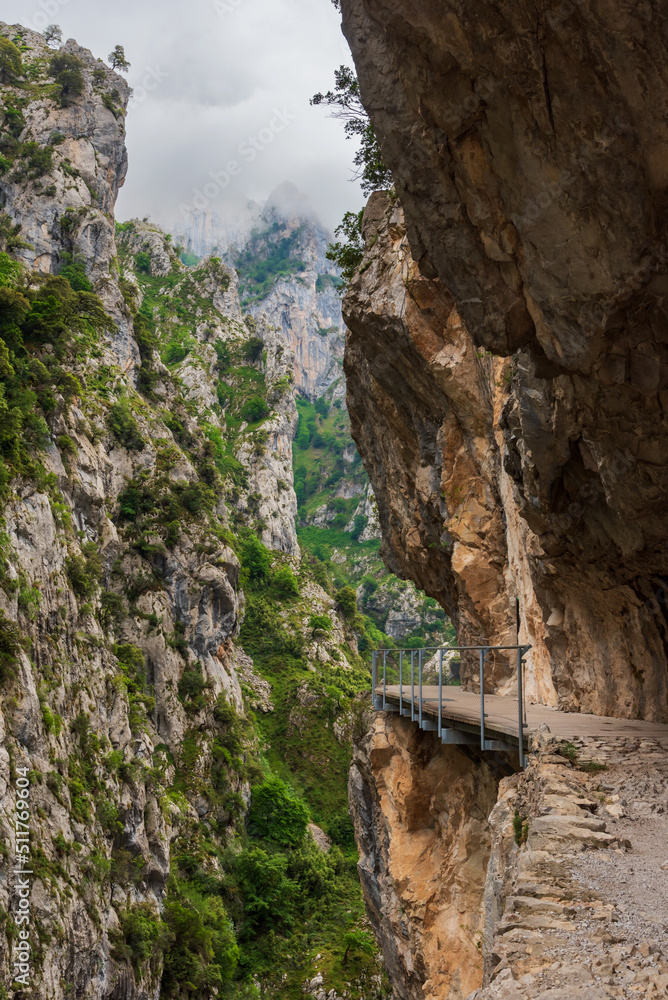 Senda del rio Cares, a path that runs through a gorge in the Picos de Europa, in the Catabrica mountain range, Spain.