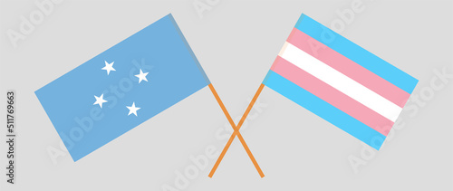 Crossed flags of Micronesia and Transgender Pride. Official colors. Correct proportion