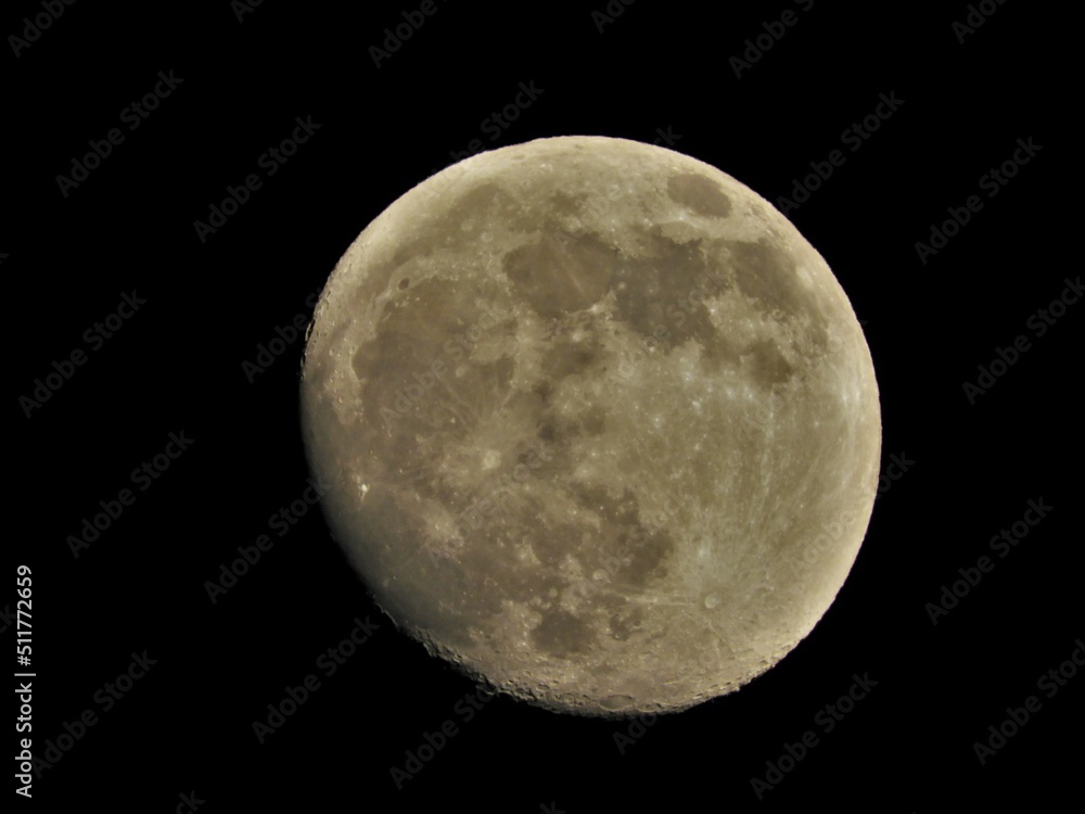 Fototapeta premium 月 6月