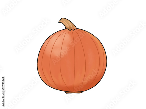 玉ねぎ 野菜