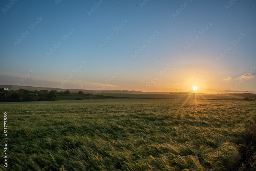 Farm field in sunset colours and cloudy skies