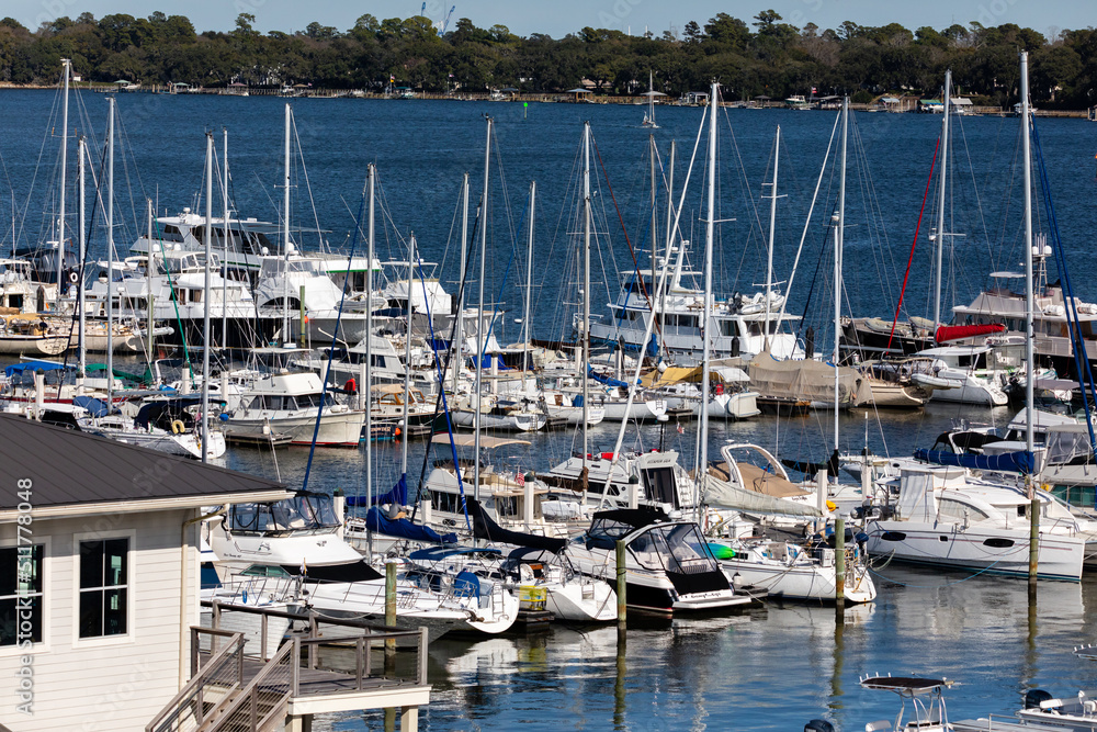 Shore birds, birds in trees and boats in harbor