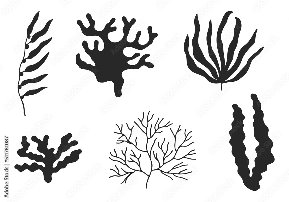 seaweed sea silhouette vector set seaweed sea silhouette vector set