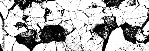 The cracks texture white and black. Vector background.
