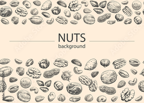 Seamless border Nuts mix Vector background. Hand drawn elements. Sketch almond, brazil nut, nutmeg, macadamia, cashew, pecan, peanut, pistachio, chestnut. Illustration for design