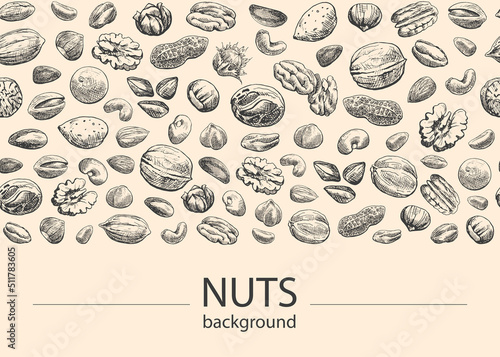 Seamless vector background. Nuts mix . Hand drawn elements. Sketch almond, brazil nut, nutmeg, macadamia, cashew, pecan, peanut, pistachio, chestnut. Illustration for design
