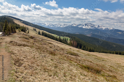 View on a Chornohora mountain range and green meadows