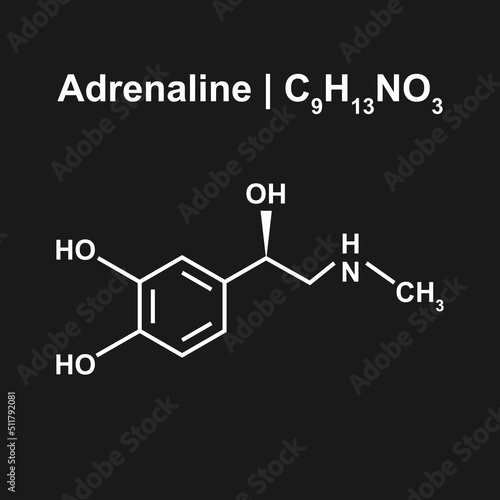 Adrenaline Molecule (C9H13NO3) Chemical Structure. Vector Illustration.