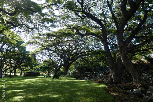 Park ,Honolulu, Hawaii