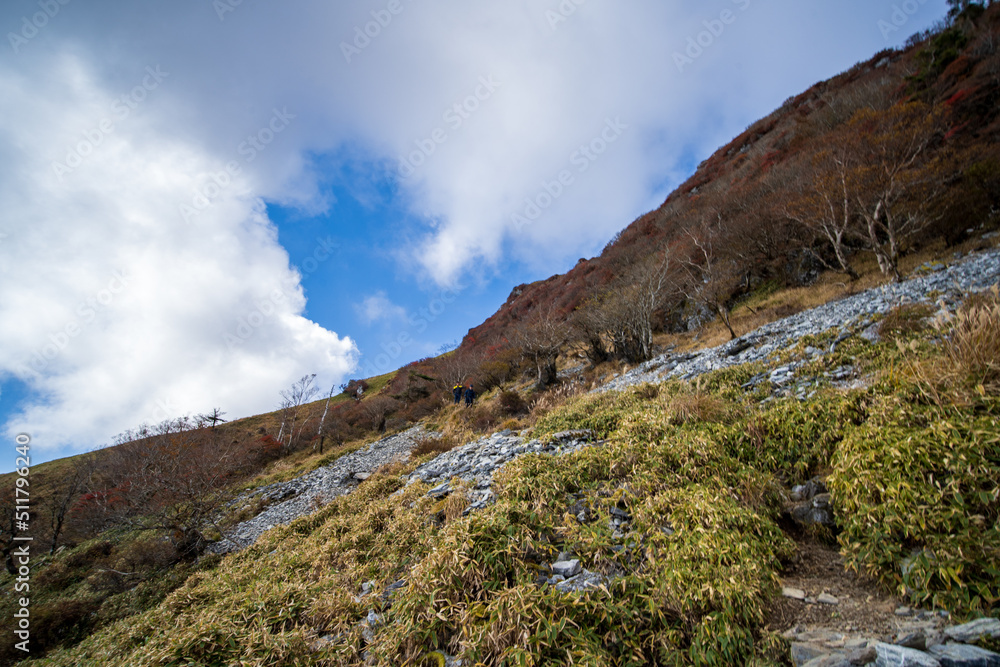 Fototapeta premium landscape with sky