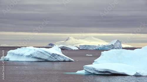 Icebergs floating in the bay at Portal Point in Antarctica