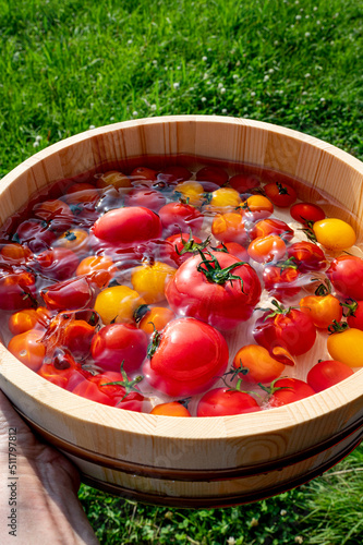 水で冷やしたトマト
