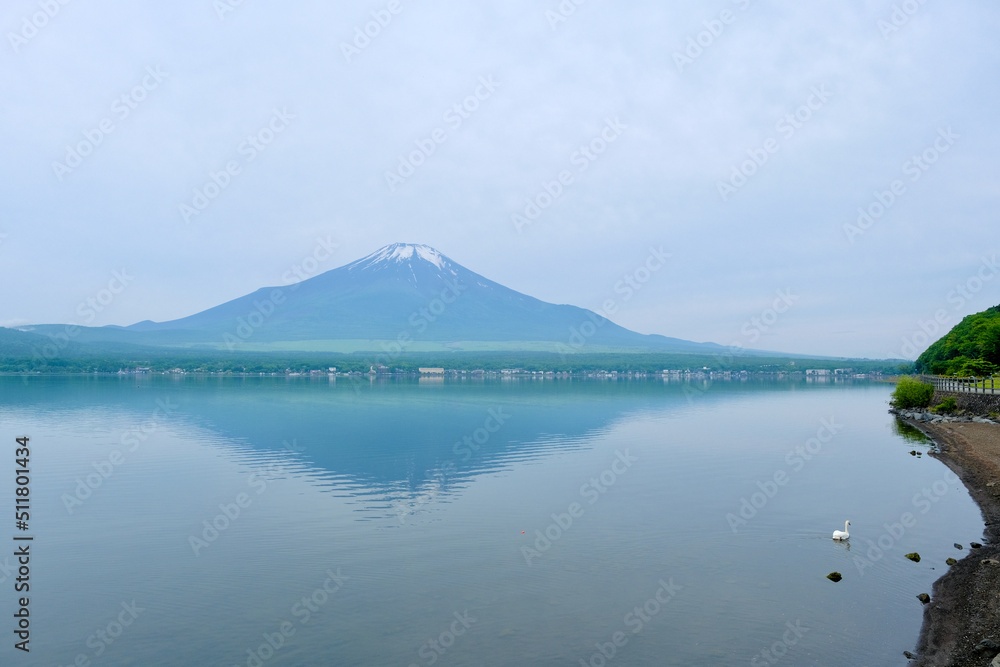 【山梨】山中湖長池親水公園から見る初夏の富士山