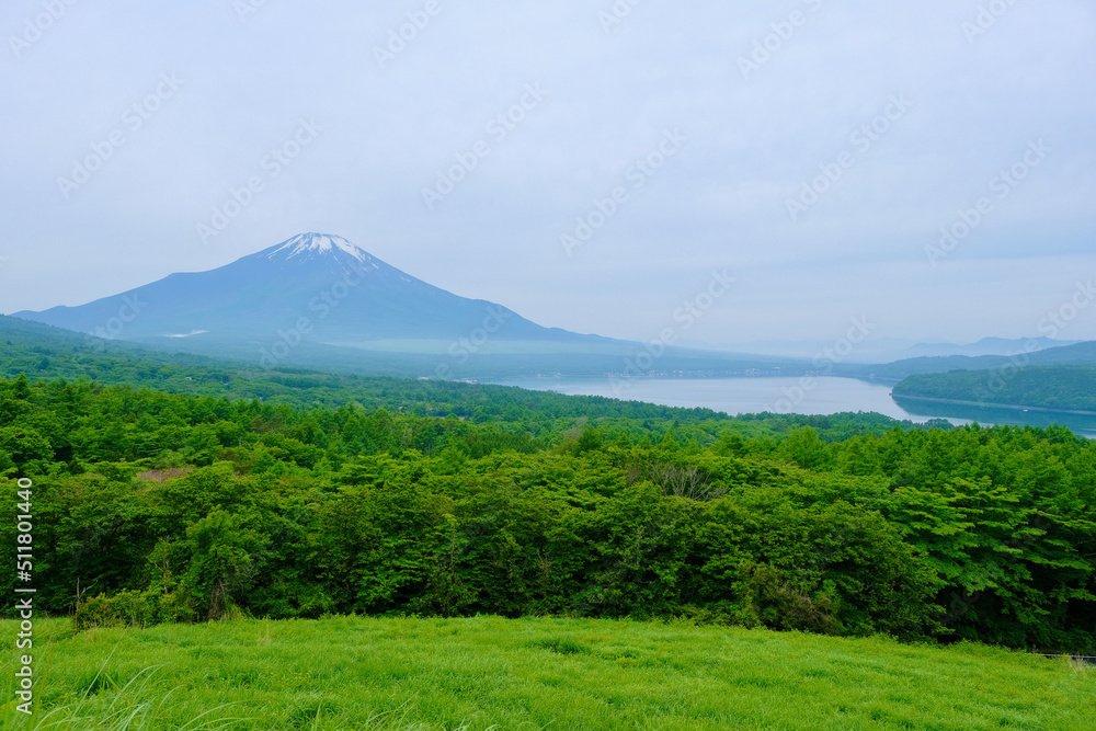 Fototapeta premium 【山梨】パノラマ台から見る山中湖と富士山（初夏）