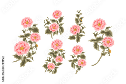 Vintage Hand Drawn Garden Rose & Peony Flower Vector Illustration Elements, Clipart Collection for Wedding Invitation, Greeting Card Decoration Set, Aesthetic Nature Crafts, Art and Creative Projects
