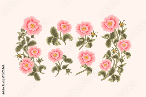Vintage Hand Drawn Garden Rosa Canina Flower Vector Illustration Elements  Clipart Collection for Wedding Invitation  Greeting Card Decoration Set  Aesthetic Nature Crafts  Art and Creative Projects