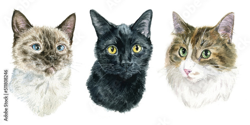 Watercolor realistic cat portrait, pet portrait, for cat lover