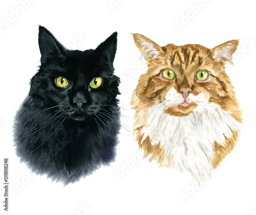 Watercolor realistic cat portrait, pet portrait, for cat lover © ElenaDoroshArt