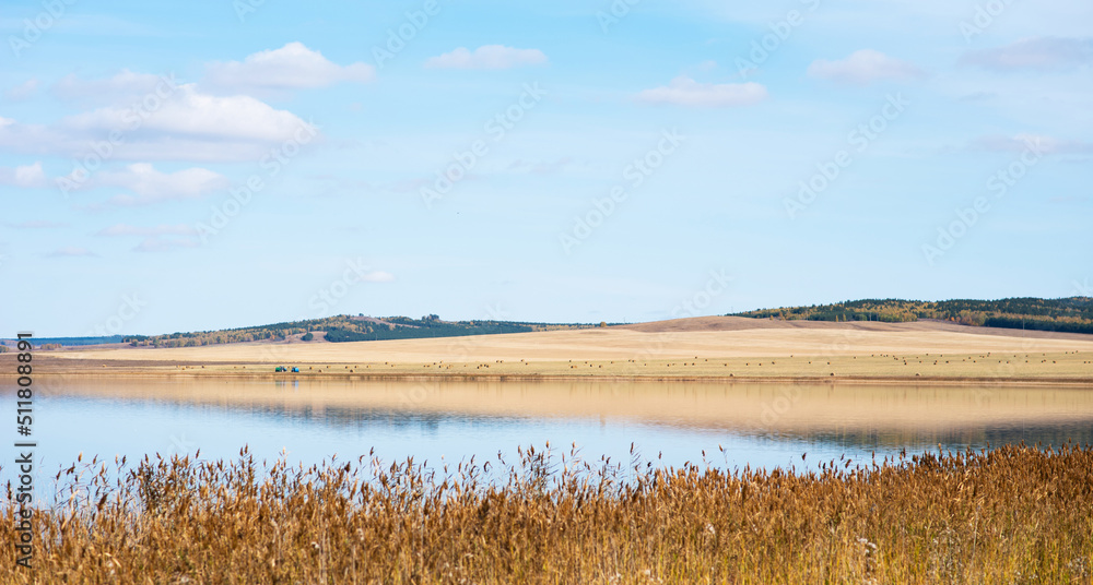 The beautiful autumn landscape. Lake and yellow fields. Autumn day in nature. Nature picture. Very beautiful scene. Banner autumn landscape on the shore of the lake.
