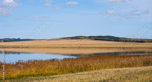 Beautiful autumn flat landscape with a blue lake  dry yellow grass  reeds and picturesque fields in the background. Blue sky with clouds. Reeds in the the blue water of a lake. Selective focus.