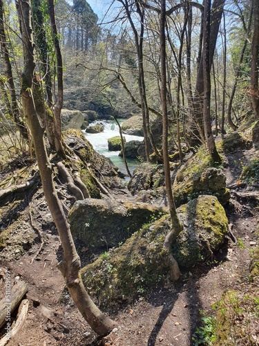 Beautiful and wild canyon: Erlaufklamm in Lower Austria. Austria. photo