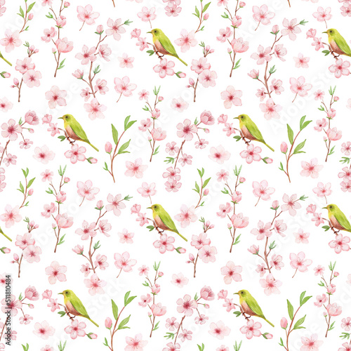Branch of Cherry blossom watercolor seamless pattern on white backgraund. Japanese flowers and bird. Floral background