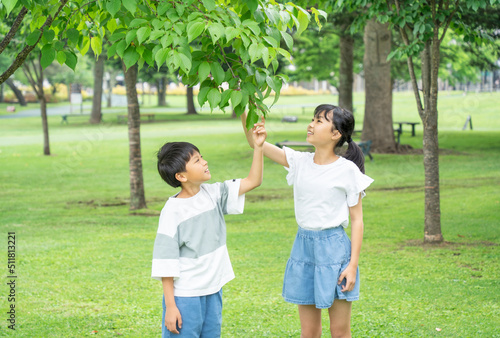 新緑の葉っぱを触る小学生の男の子と女の子