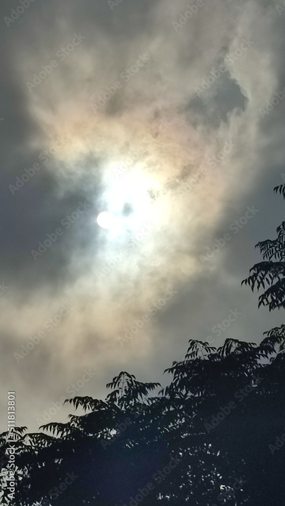 Fototapeta premium sunset over the sea