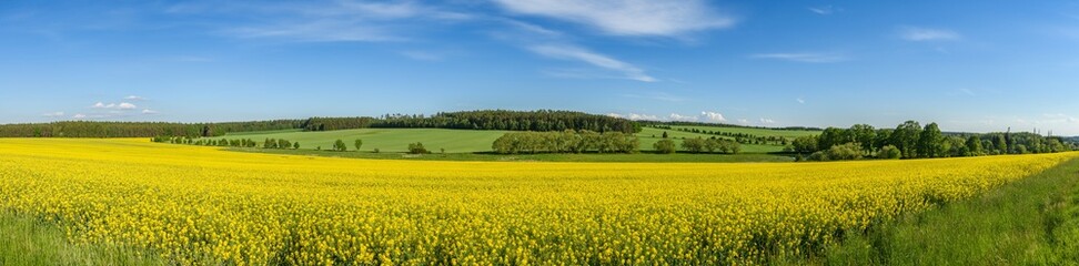 Acrylglasbilder Orange panorama view of landscape with yellow rape field, meadows and forests  © Petr