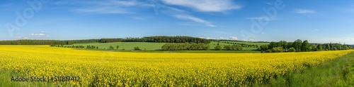 panorama view of landscape with yellow rape field, meadows and forests
