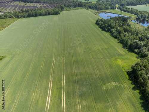 Aerial view of large area of green agriculture fields countryside. Drone photography taken from above in Sweden in summer. Place for text, copy space. Farming, agricultural concept.
