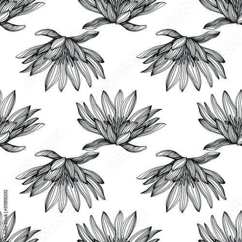 Wildflower lotus flower pattern in a one line style. Outline of the plant: Black and white engraved ink art lotos. Sketch wild flower for background, texture, wrapper pattern, frame or border.