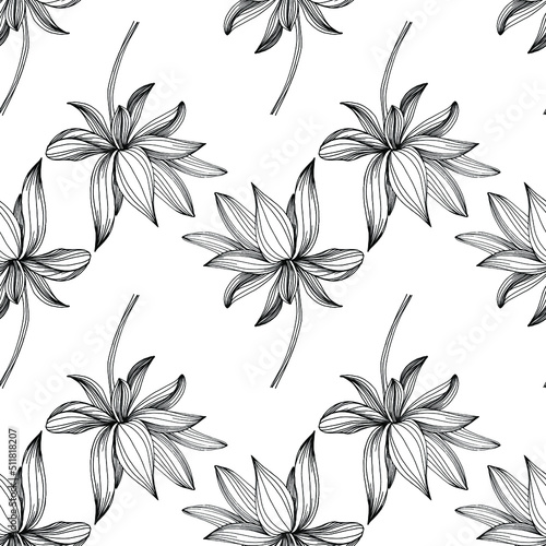 Wildflower lotus flower pattern in a one line style. Outline of the plant: Black and white engraved ink art lotos. Sketch wild flower for background, texture, wrapper pattern, frame or border.