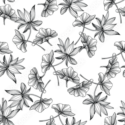 Wildflower lotus flower pattern in a one line style. Outline of the plant: Black and white engraved ink art lotos. Sketch wild flower for background, texture, wrapper pattern, frame or border.