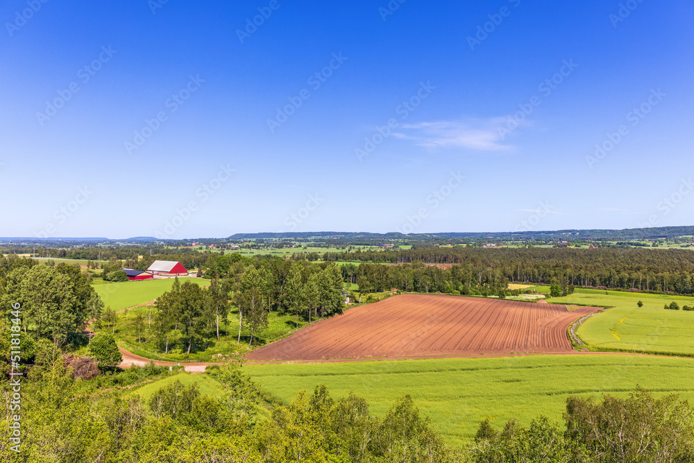 Farmland view with a plowed field