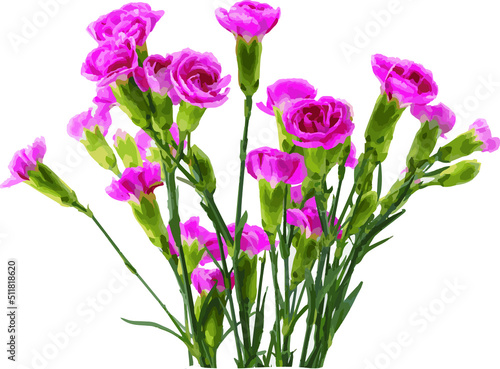 Abstract of Smaller carnations arrangements on  white background.
