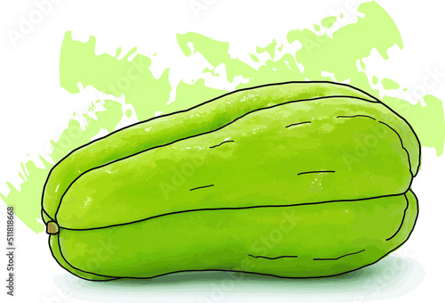 Abstract of Chayote squash with color paint on white Background.