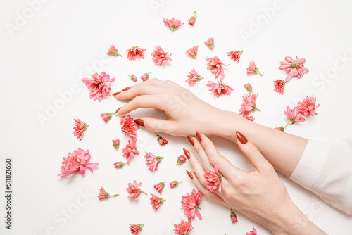 Close-up beautiful sophisticated female hands with pink flowers on white background. Concept Hand Care  Anti-Wrinkles  anti-aging creams  spa and hand care