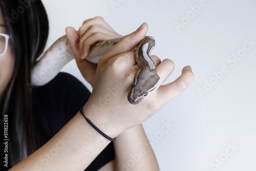 Woman Hand Grab Snake Out of Her Body with Ophidiophobia The Fear of Snake Concept photo