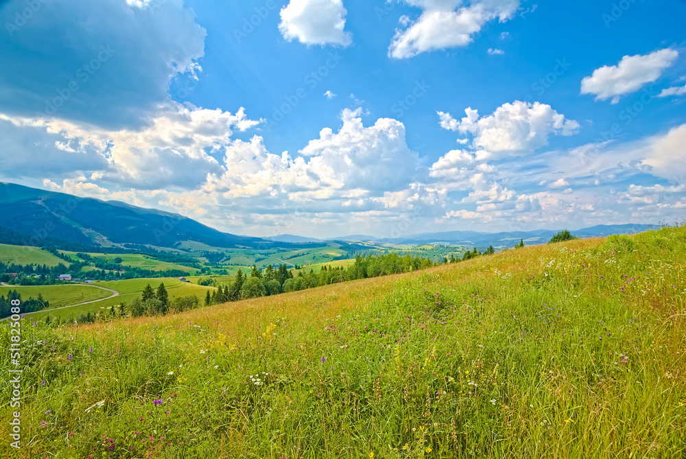 View of green mountains and clouds from a lush green meadow with spruces and flowers. The landscape is burning. View of green mountains and clouds from a lush green meadow with spruces and flowers. The landscape is burning.