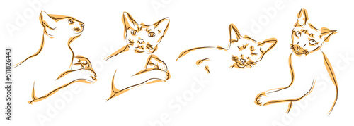 Set of contour illustrations of domestic red cat in different poses. Silhouette of cat isolated on white background. Animal care, welfare and protection concept. Sketch, linear drawing