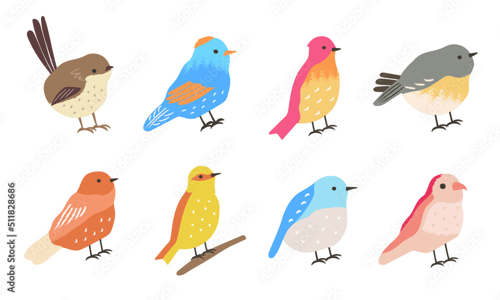 set of birds illustrations set of birds illustrations