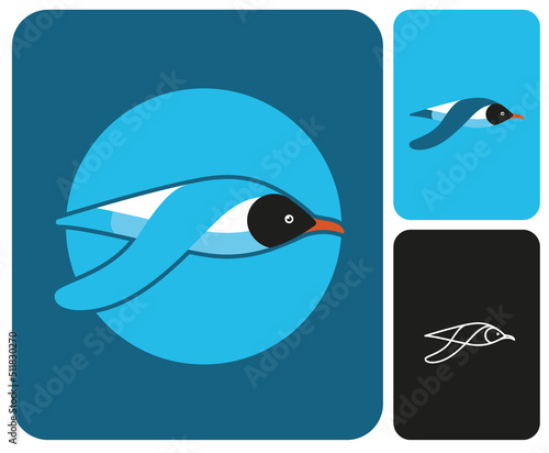 illustration de mouette, oiseau de bord de mer, lac, rivière, mouette rieuse, oiseau, emblème, image de marque