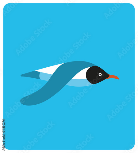 illustration de mouette, oiseau de bord de mer, lac, rivière, mouette rieuse, oiseau, emblème