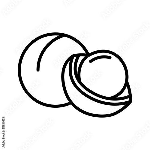 Macadamia nut icon. Pictogram isolated on a white background.