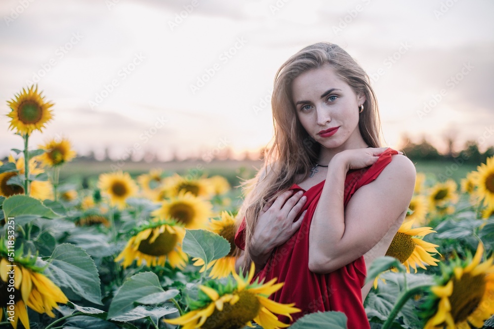 A young, slender, with loose hair is covered by a red dress in a field of sunflowers A young, slender, with loose hair is covered by a red dress in a field of sunflowers