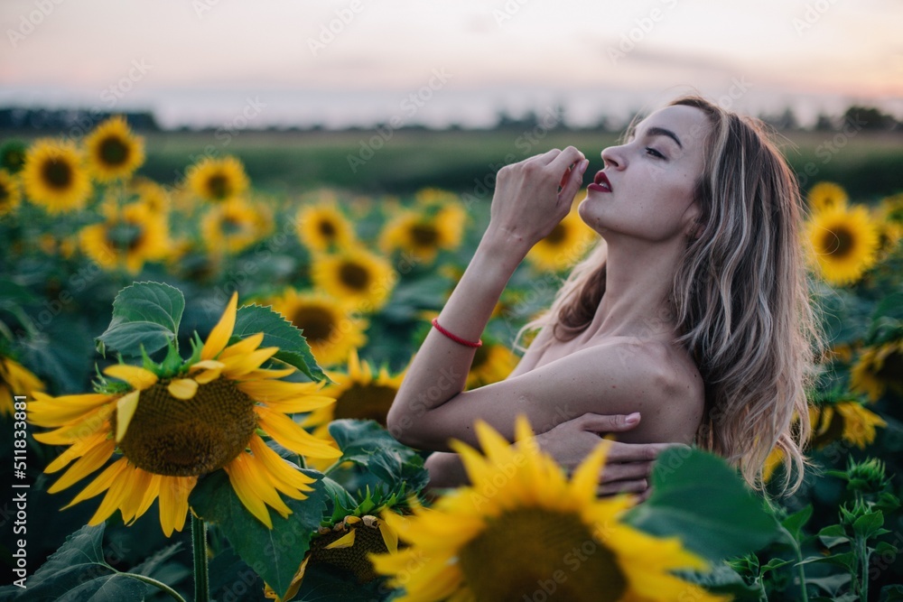 Young, slender, with loose hair in a field of sunflowers at sunset Young, slender, with loose hair in a field of sunflowers at sunset