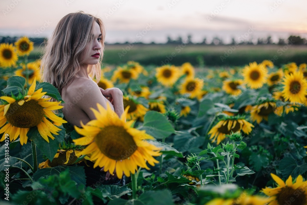 Young, slender, with loose hair in a field of sunflowers at sunset Young, slender, with loose hair in a field of sunflowers at sunset