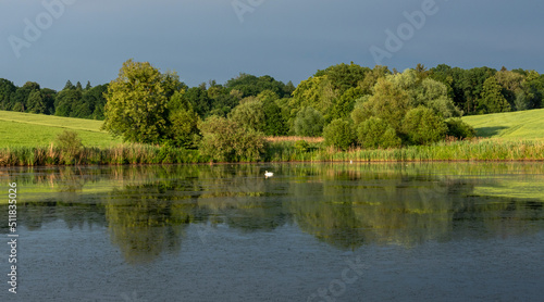 Fototapeta Naklejka Na Ścianę i Meble -  Pond surrounded by greenery in golden hour with reflections in the water 