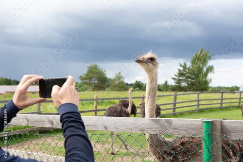 a man takes pictures of an ostrich at the zoo